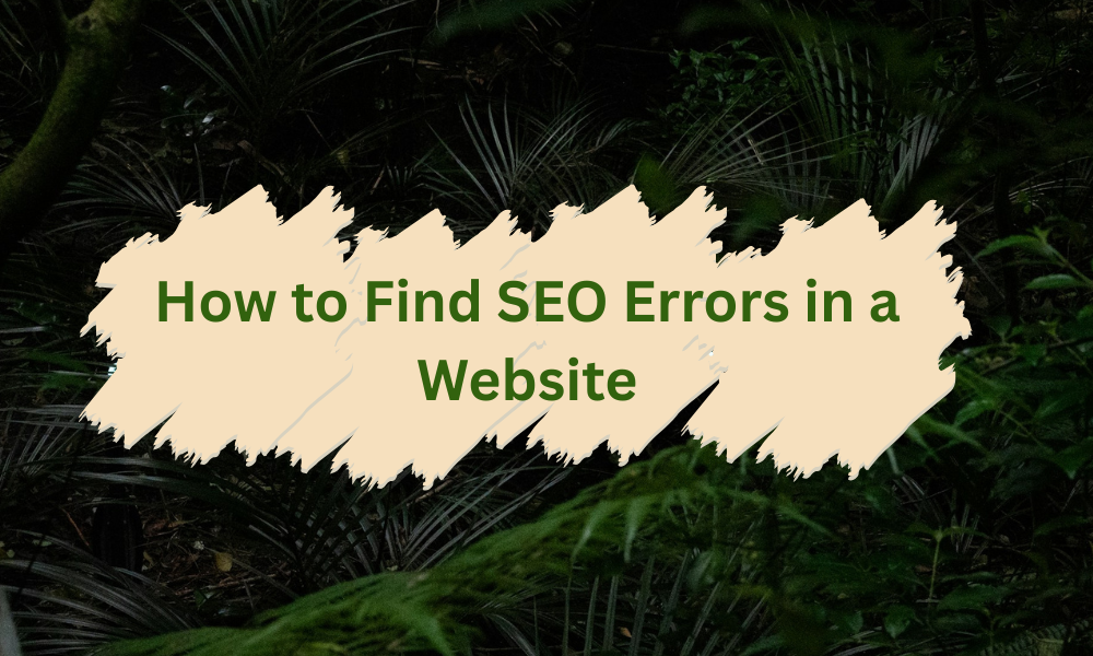 How to Find SEO Errors in a Website