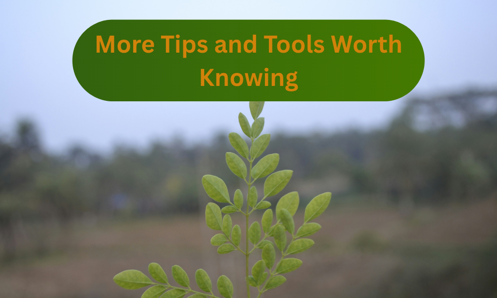 More Tips and Tools Worth Knowing